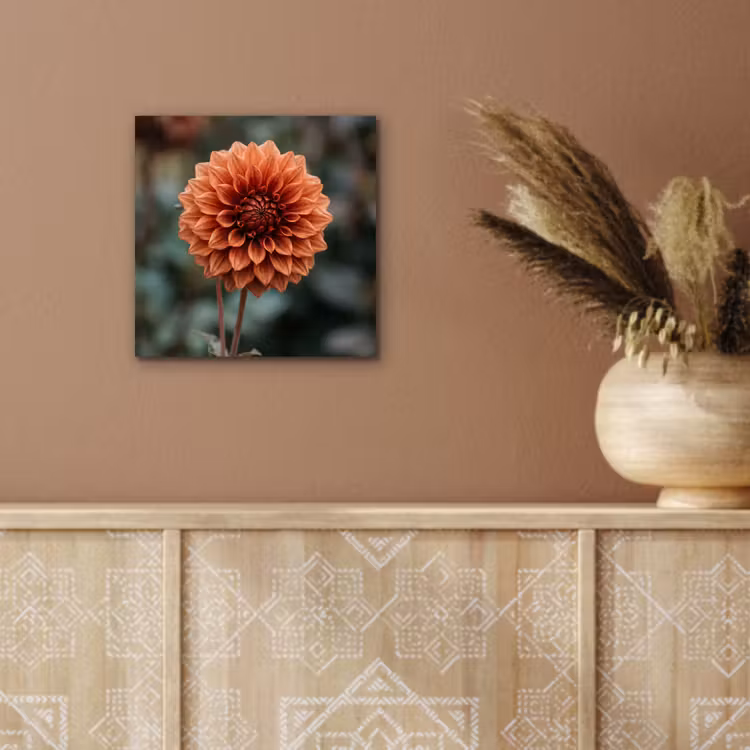 Aluminium schilderij - Dahlia - Bloem - Natuur - Sfeervol — 5