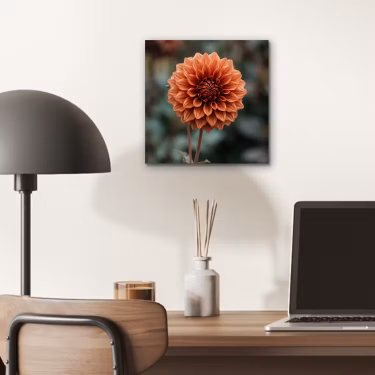 Aluminium schilderij - Dahlia - Bloem - Natuur - Sfeervol — 6