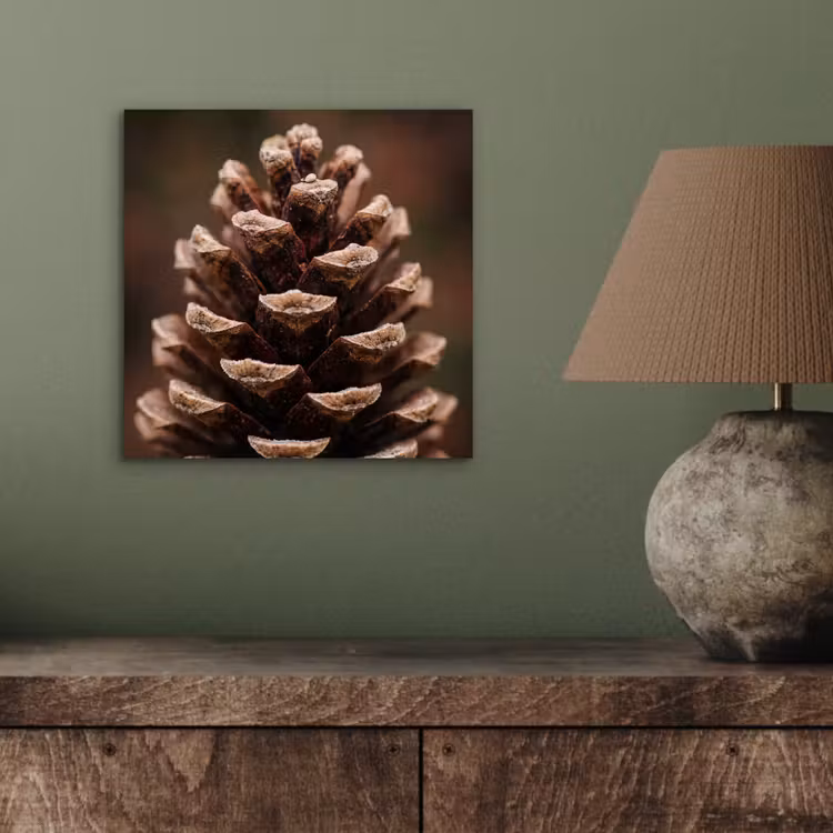 Aluminium schilderij - Dennenappel - Bos - Herfst - Bruin - Sfeervol — 3