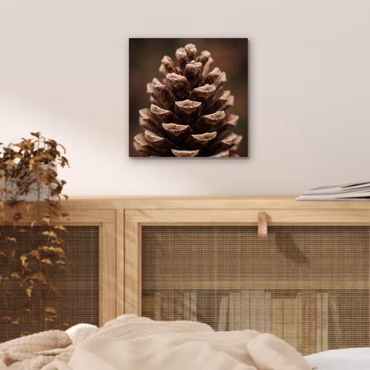 Aluminium schilderij - Dennenappel - Bos - Herfst - Bruin - Sfeervol — 4