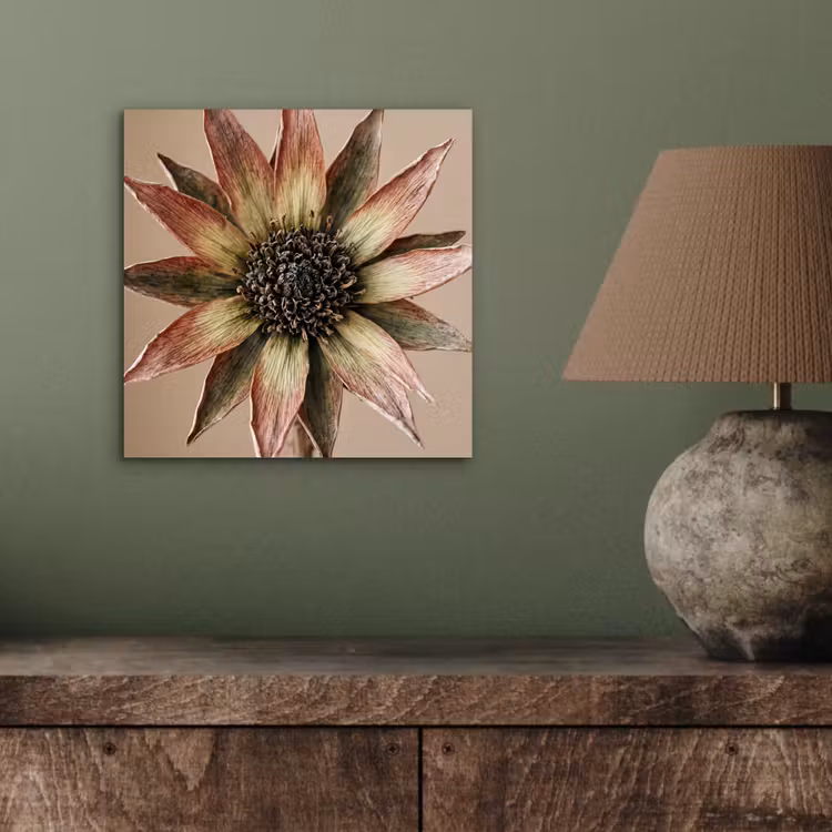 Aluminium schilderij - Droogbloem - Protea - Vintage - Beige - Rustiek — 3