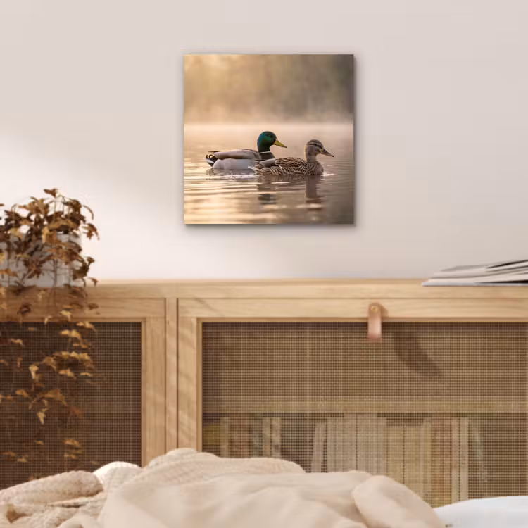 Aluminium schilderij - Eenden - Water - Mist - Natuur — 4