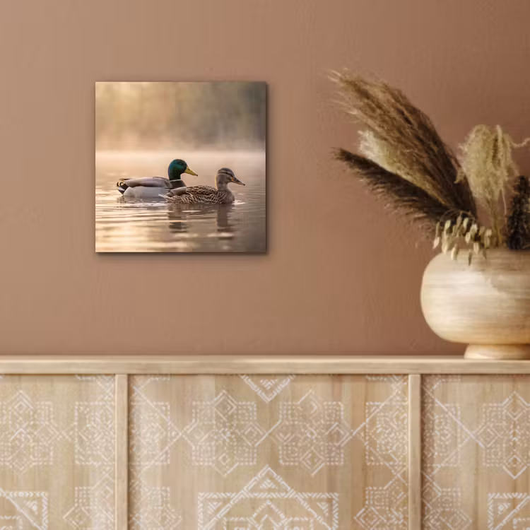 Aluminium schilderij - Eenden - Water - Mist - Natuur — 5