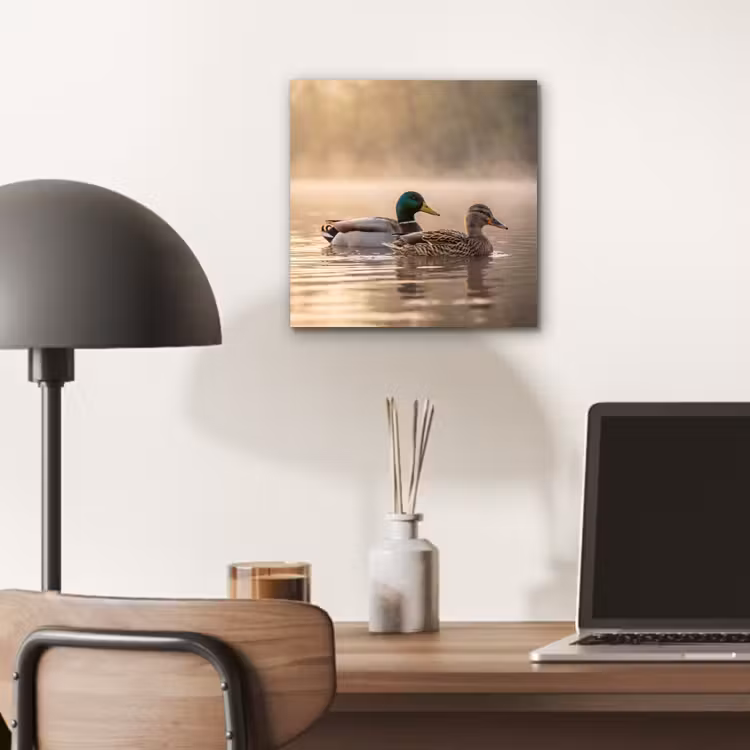 Aluminium schilderij - Eenden - Water - Mist - Natuur — 6
