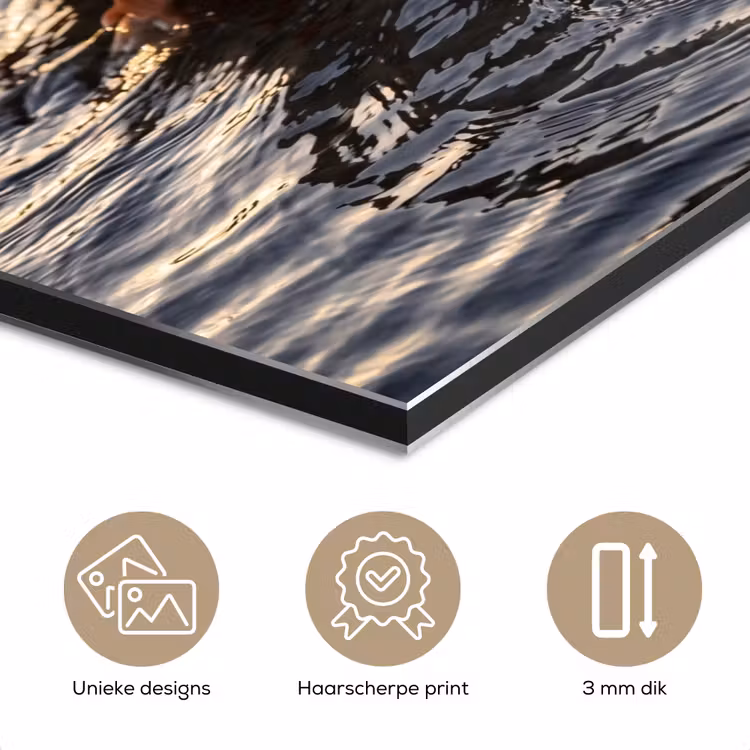 Aluminium schilderij - Eenden - Water - Natuur — 7