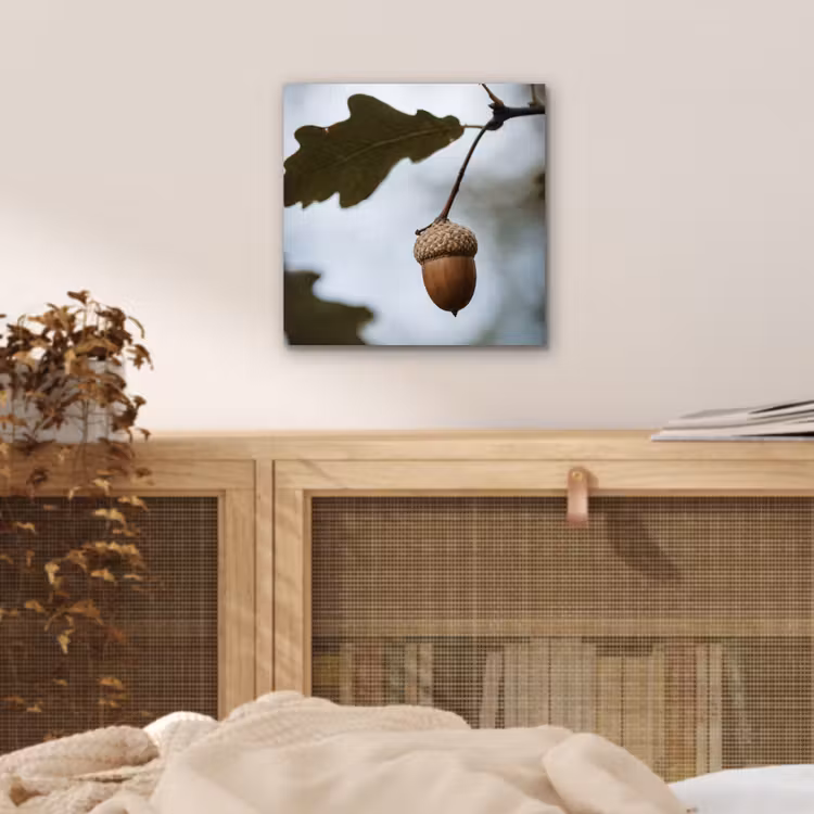 Aluminium schilderij - Eikel - Eikenblad - Bos - Herfst - Natuur — 4