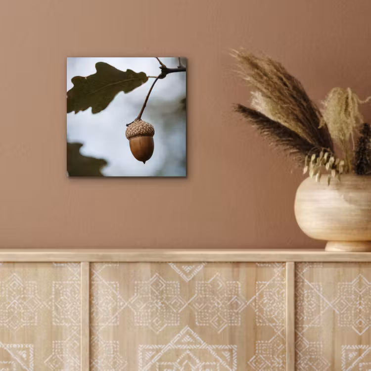 Aluminium schilderij - Eikel - Eikenblad - Bos - Herfst - Natuur — 5