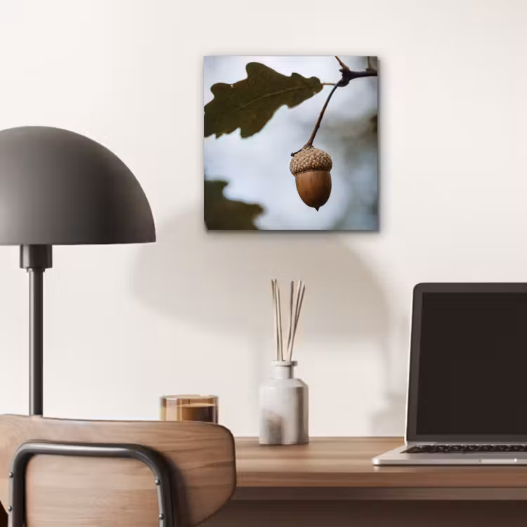 Aluminium schilderij - Eikel - Eikenblad - Bos - Herfst - Natuur — 6