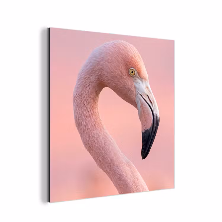 Aluminium schilderij - Flamingo - Portret - Roze — 1