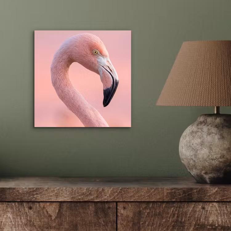 Aluminium schilderij - Flamingo - Portret - Roze — 3