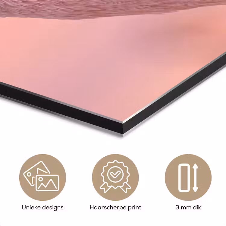 Aluminium schilderij - Flamingo - Portret - Roze — 7