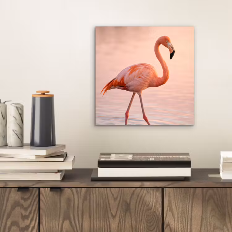 Aluminium schilderij - Flamingo - Water - Roze — 2