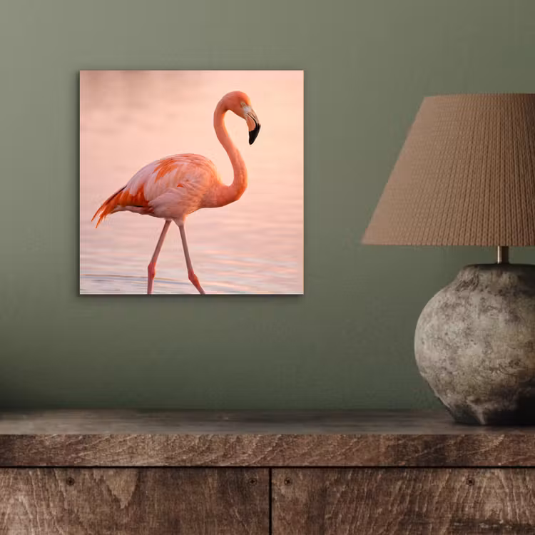 Aluminium schilderij - Flamingo - Water - Roze — 3