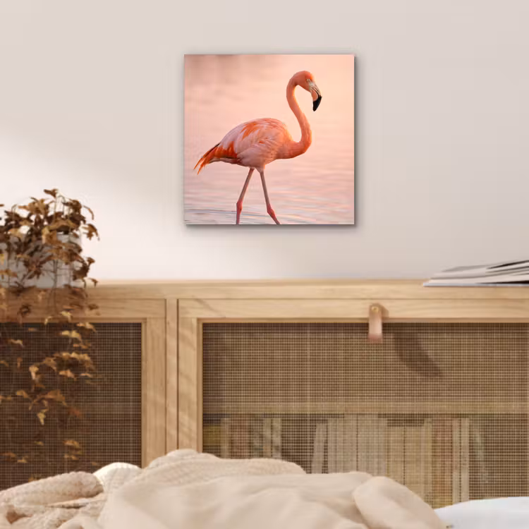 Aluminium schilderij - Flamingo - Water - Roze — 4