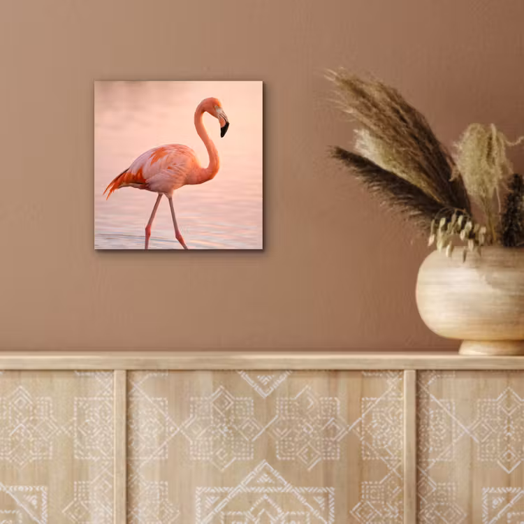 Aluminium schilderij - Flamingo - Water - Roze — 5