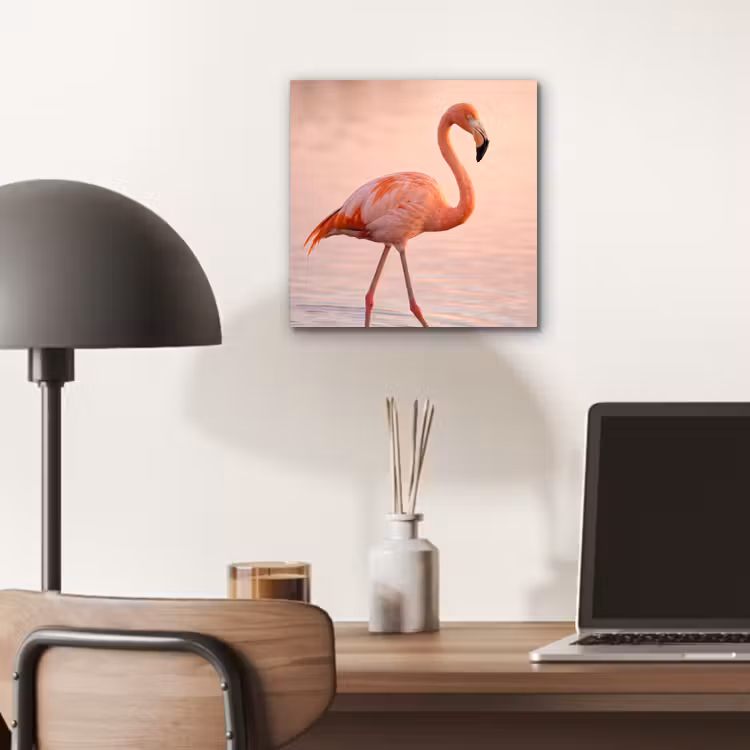 Aluminium schilderij - Flamingo - Water - Roze — 6