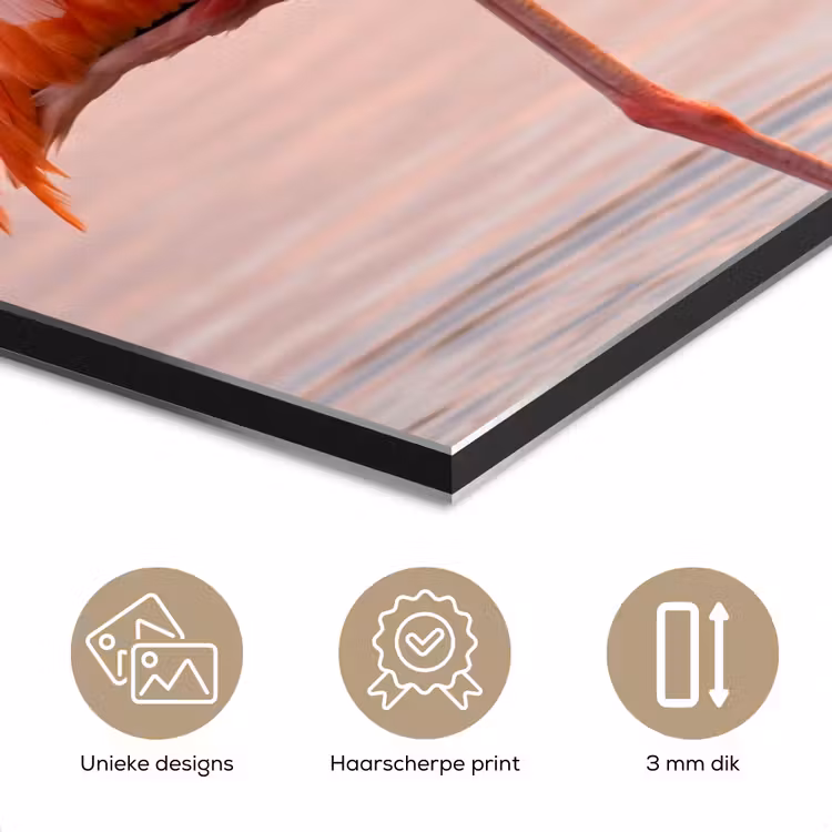 Aluminium schilderij - Flamingo - Water - Roze — 7
