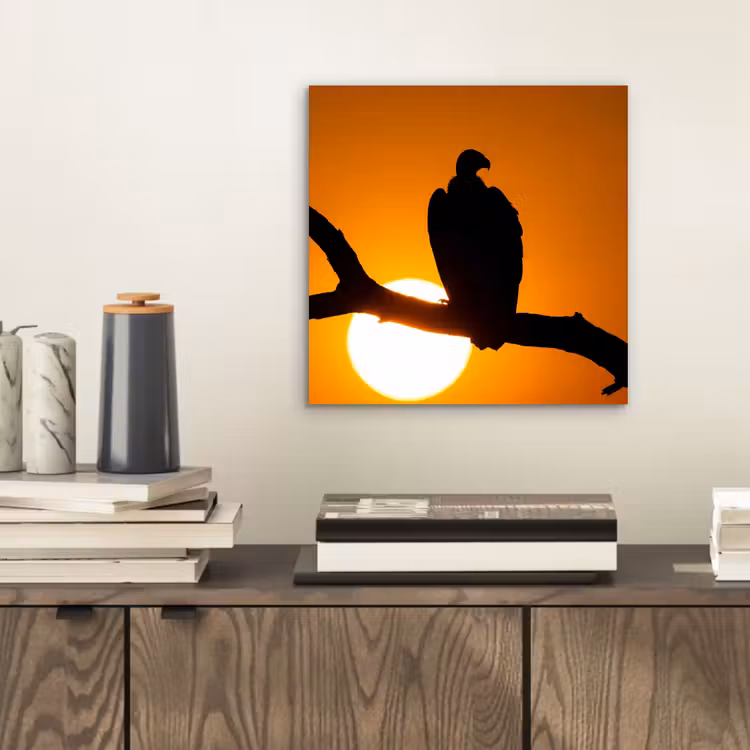 Aluminium schilderij - Gier - Tak - Zon - Oranje — 2