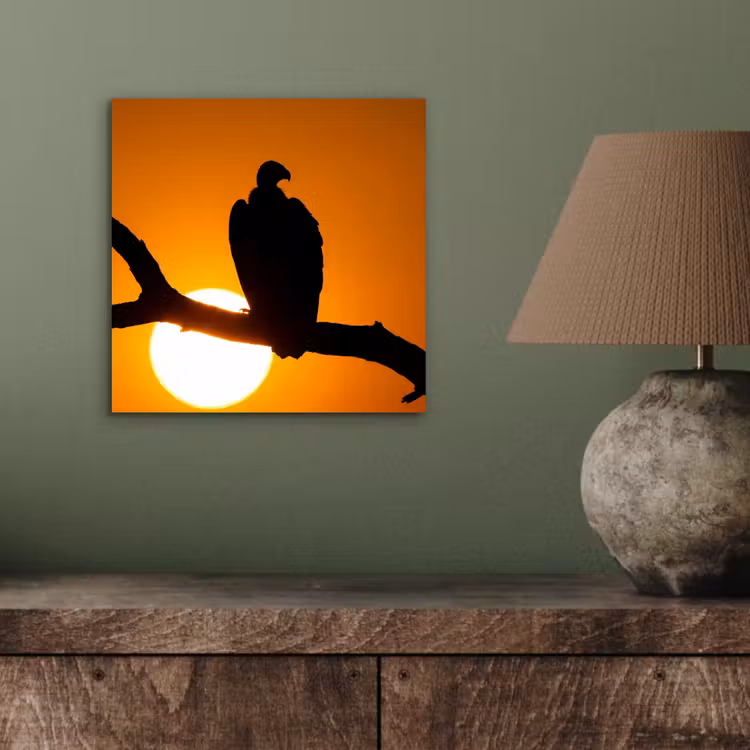Aluminium schilderij - Gier - Tak - Zon - Oranje — 3