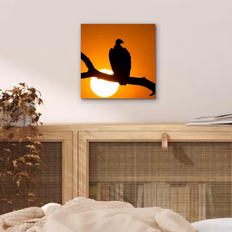 Aluminium schilderij - Gier - Tak - Zon - Oranje — 4