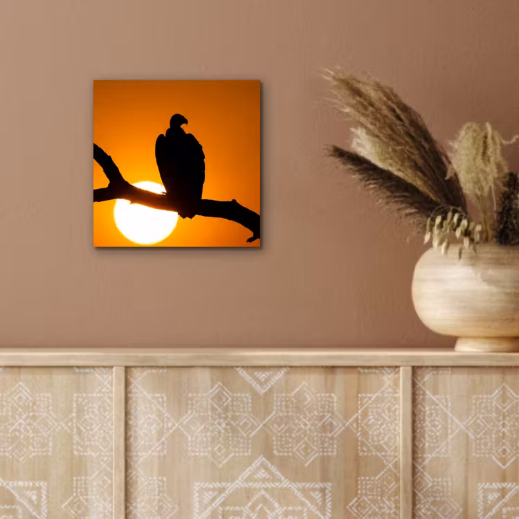 Aluminium schilderij - Gier - Tak - Zon - Oranje — 5