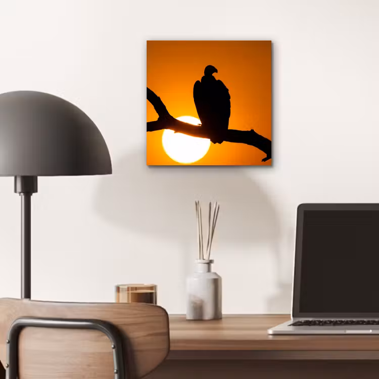 Aluminium schilderij - Gier - Tak - Zon - Oranje — 6