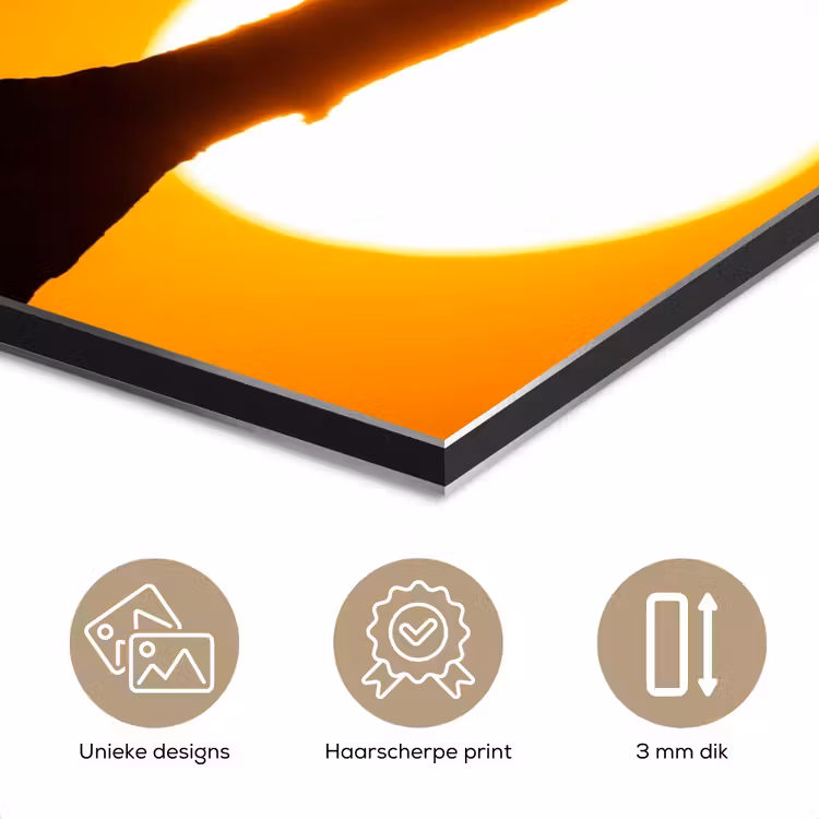 Aluminium schilderij - Gier - Tak - Zon - Oranje — 7