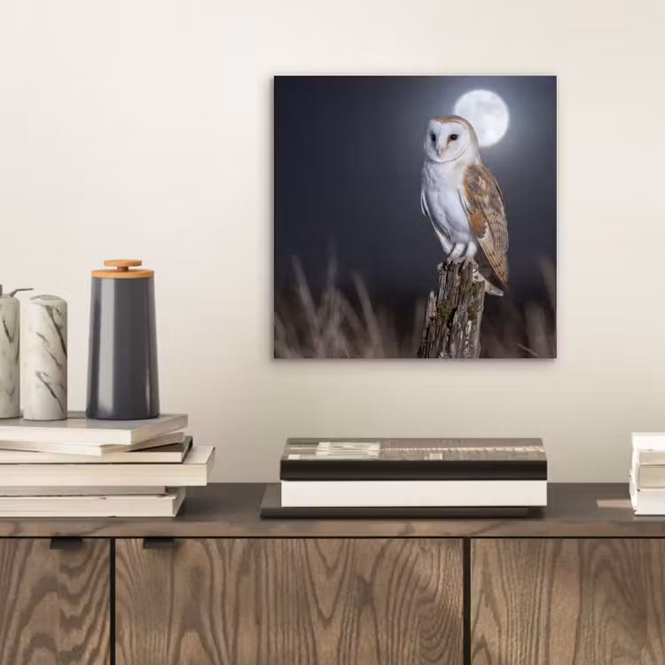 Aluminium schilderij - Kerkuil - Maan - Nacht — 2