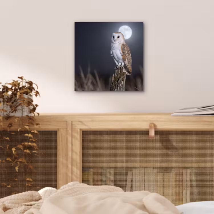 Aluminium schilderij - Kerkuil - Maan - Nacht — 4