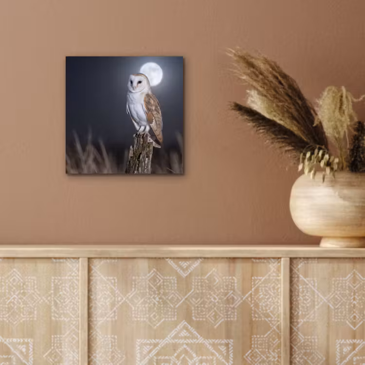 Aluminium schilderij - Kerkuil - Maan - Nacht — 5