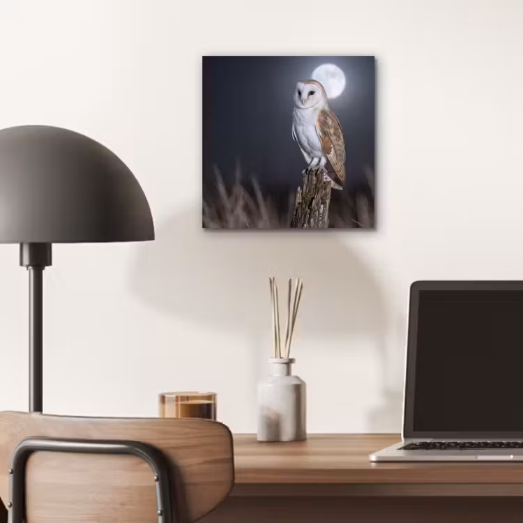 Aluminium schilderij - Kerkuil - Maan - Nacht — 6
