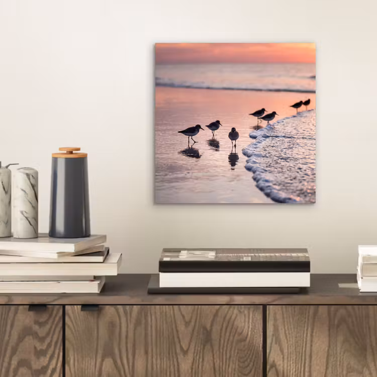 Aluminium schilderij - Meeuwen - Strand - Zee - Roze — 2