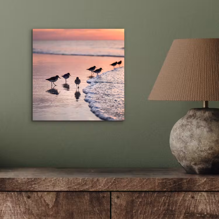 Aluminium schilderij - Meeuwen - Strand - Zee - Roze — 3