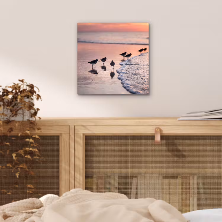 Aluminium schilderij - Meeuwen - Strand - Zee - Roze — 4