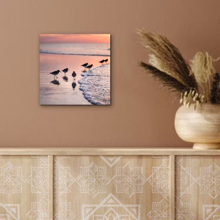 Aluminium schilderij - Meeuwen - Strand - Zee - Roze — 5