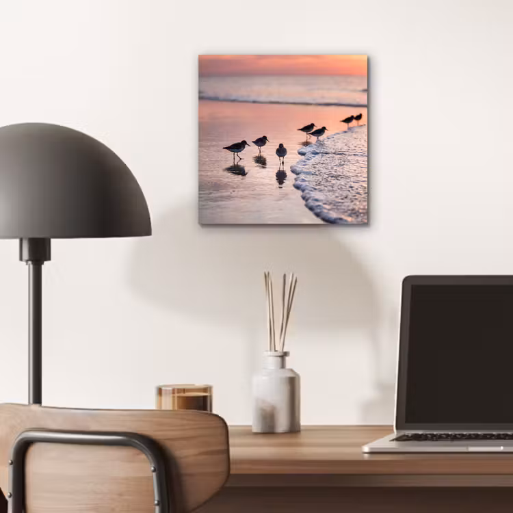 Aluminium schilderij - Meeuwen - Strand - Zee - Roze — 6