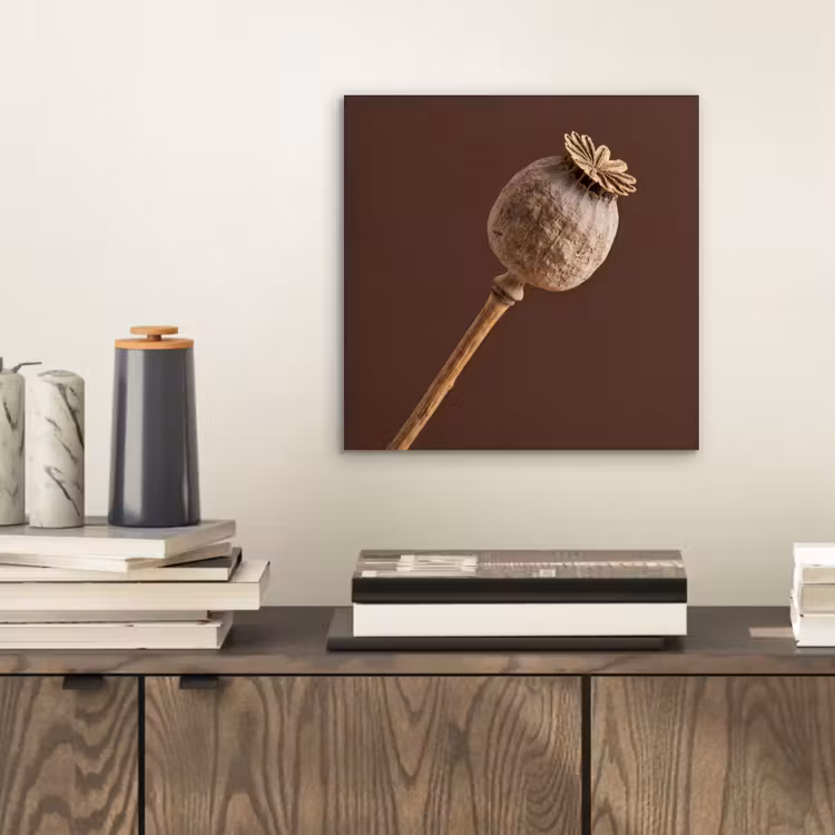 Aluminium schilderij - Papaverbol - Droogbloem - Bruin - Minimalistisch — 2