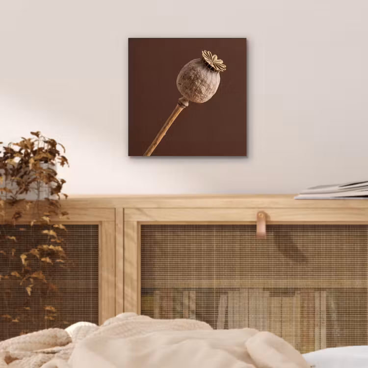 Aluminium schilderij - Papaverbol - Droogbloem - Bruin - Minimalistisch — 4