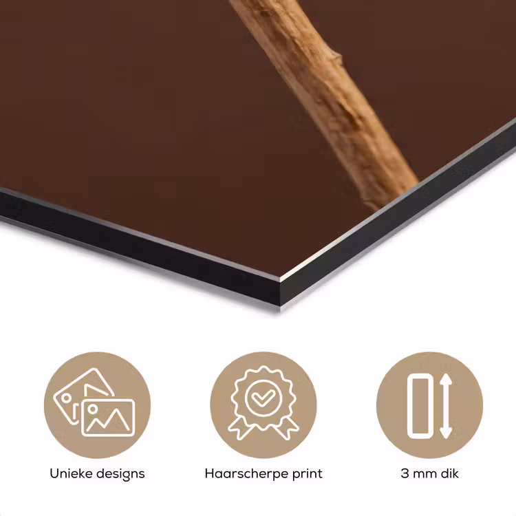 Aluminium schilderij - Papaverbol - Droogbloem - Bruin - Minimalistisch — 7