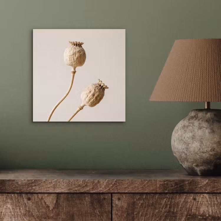 Aluminium schilderij - Papaverbollen - Droogbloemen - Minimalistisch - Beige - Rustig — 3