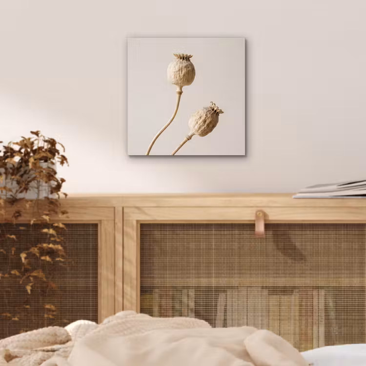 Aluminium schilderij - Papaverbollen - Droogbloemen - Minimalistisch - Beige - Rustig — 4