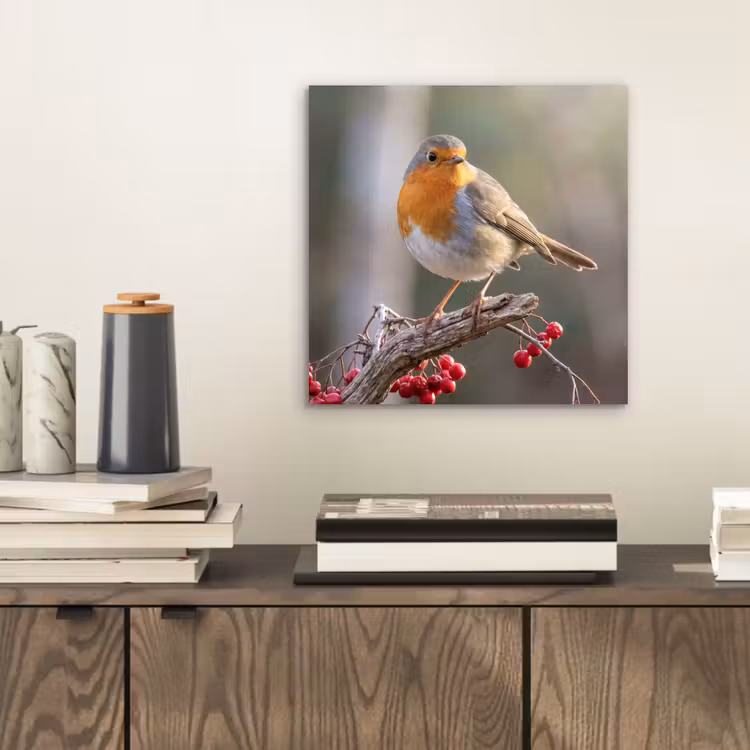 Aluminium schilderij - Roodborst - Tak - Bessen - Natuur — 2