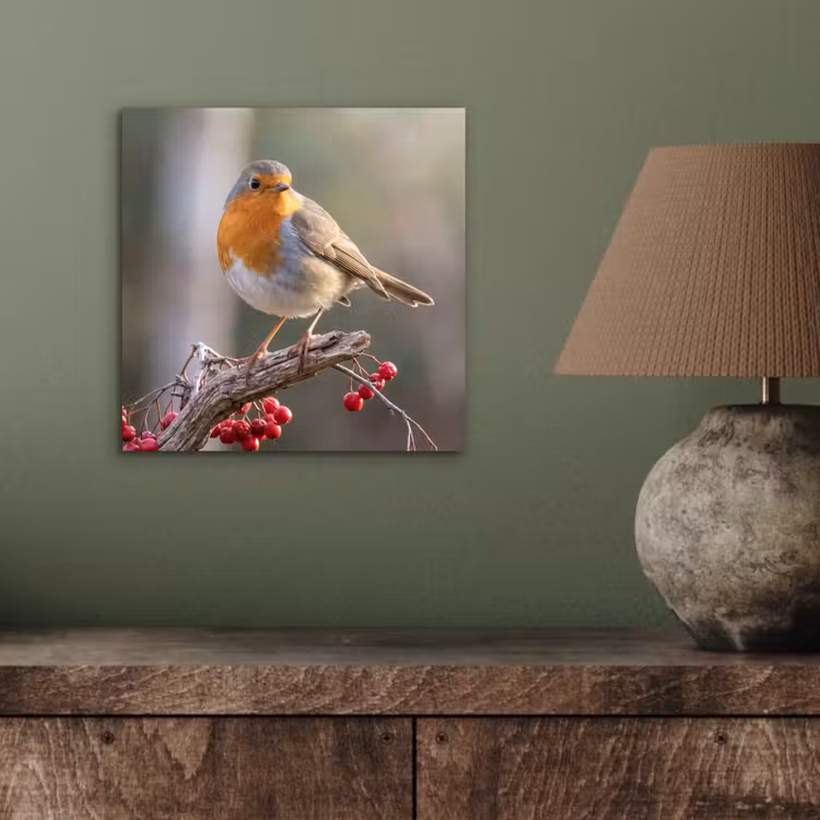 Aluminium schilderij - Roodborst - Tak - Bessen - Natuur — 3