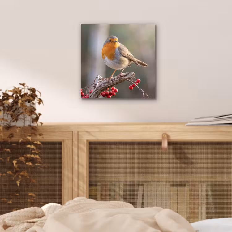 Aluminium schilderij - Roodborst - Tak - Bessen - Natuur — 4