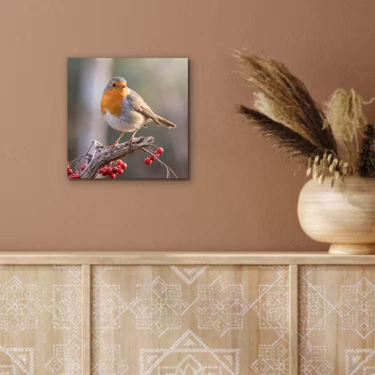Aluminium schilderij - Roodborst - Tak - Bessen - Natuur — 5
