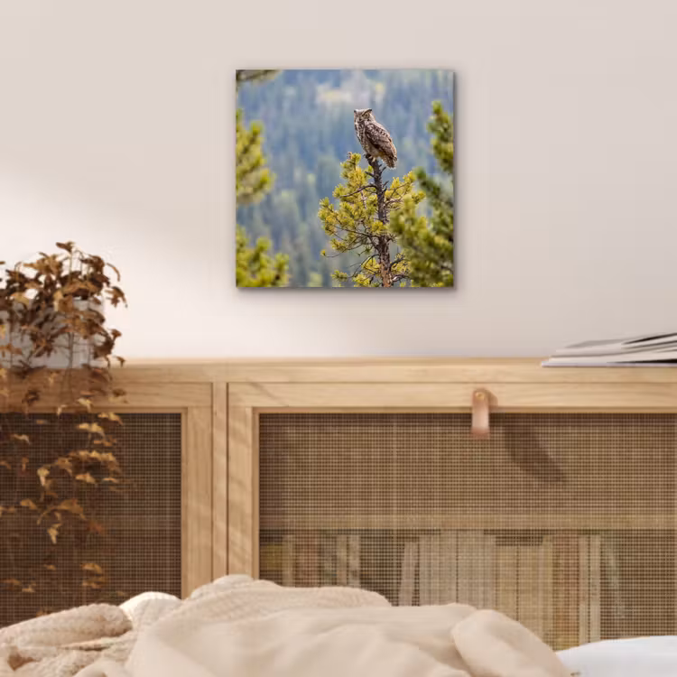 Aluminium schilderij - Uil - Oehoe - Bomen - Natuur — 4