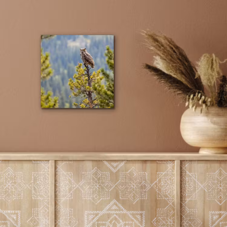 Aluminium schilderij - Uil - Oehoe - Bomen - Natuur — 5