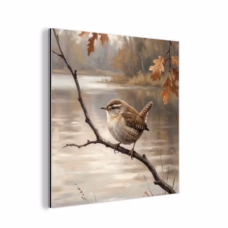 Aluminium schilderij - Winterkoninkje - Tak - Rivier - Natuur - Sfeervol — 1