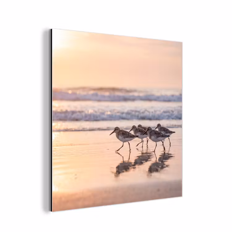 Aluminium schilderij - Zee - Vogels - Strand — 1
