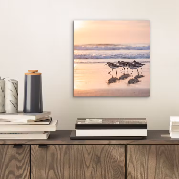 Aluminium schilderij - Zee - Vogels - Strand — 2